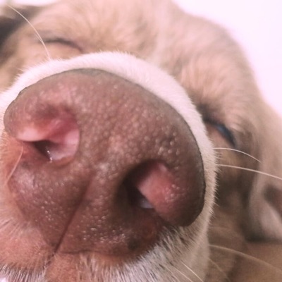 Vem devagar - Single