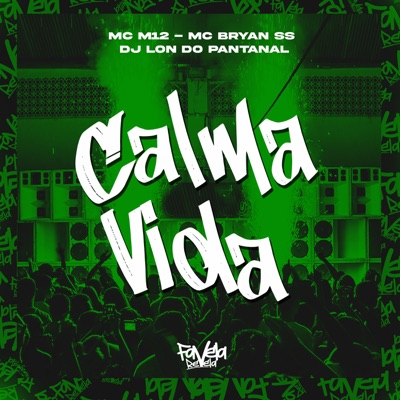 Calma Vida (Remix) [feat. DJ Lon do Pantanal] - Single