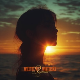 Знаешь WILLTOX WT? & Wiktorika