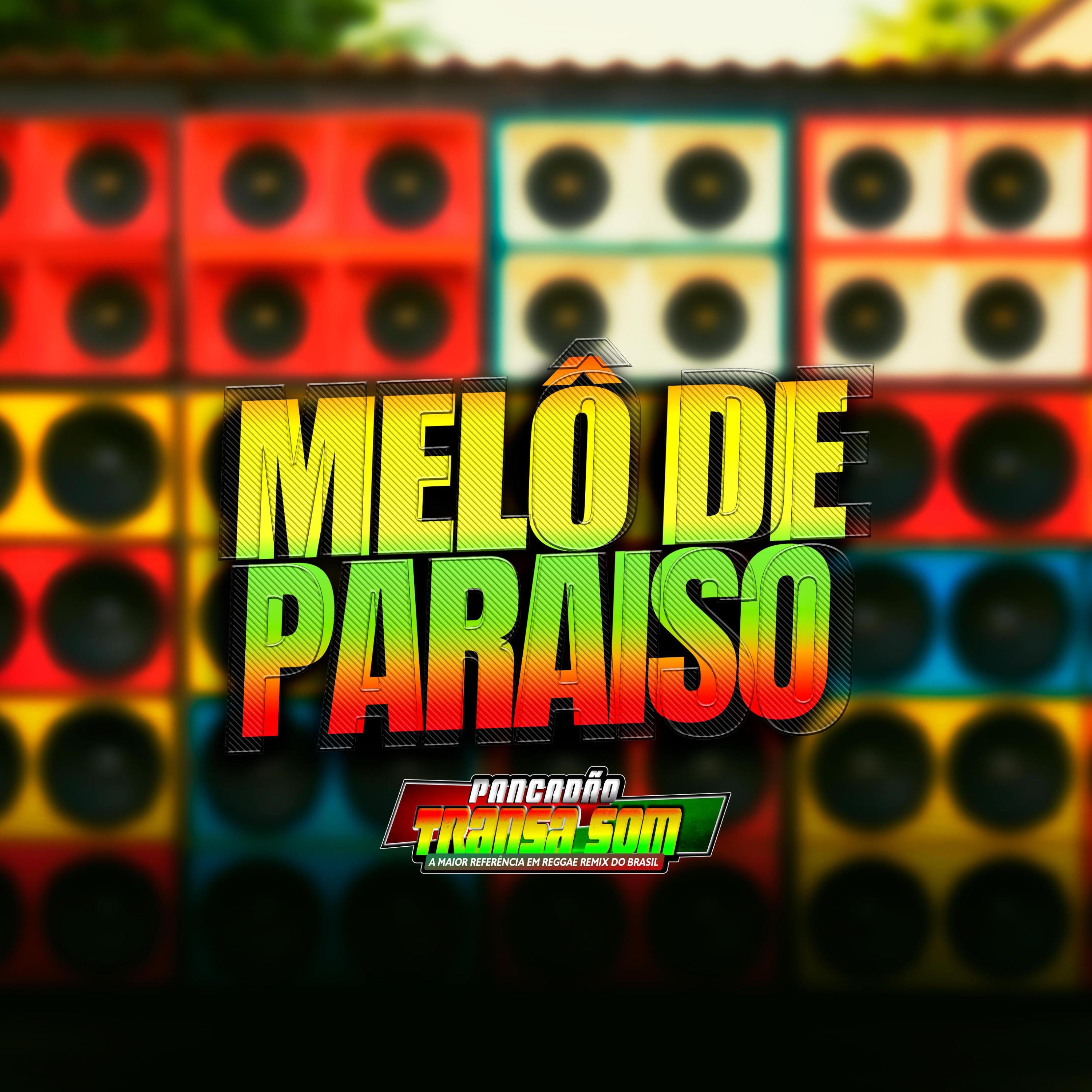 Melô de Paraiso (Transa Som) - Single