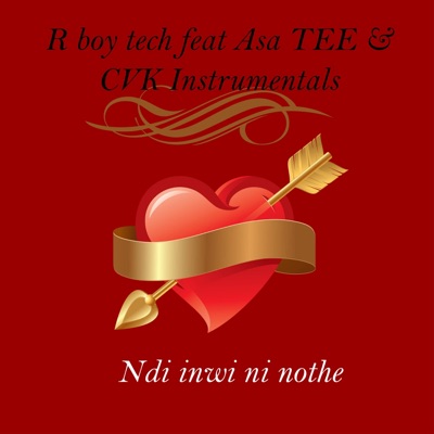 Ndi inwi ni nothe (feat. Asa tee & CVK instrumentals) - Single