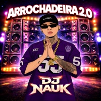 Gostosona (feat. Dj Vinni Alvess) - Single - DJ NAUK