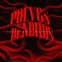 Polvos Benditos - Single - PERCYFER & Nadpace