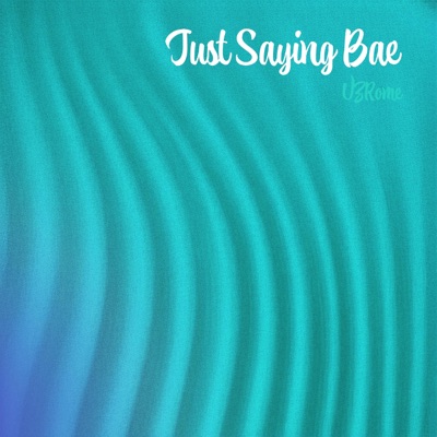 Just Sayin Bae artwork