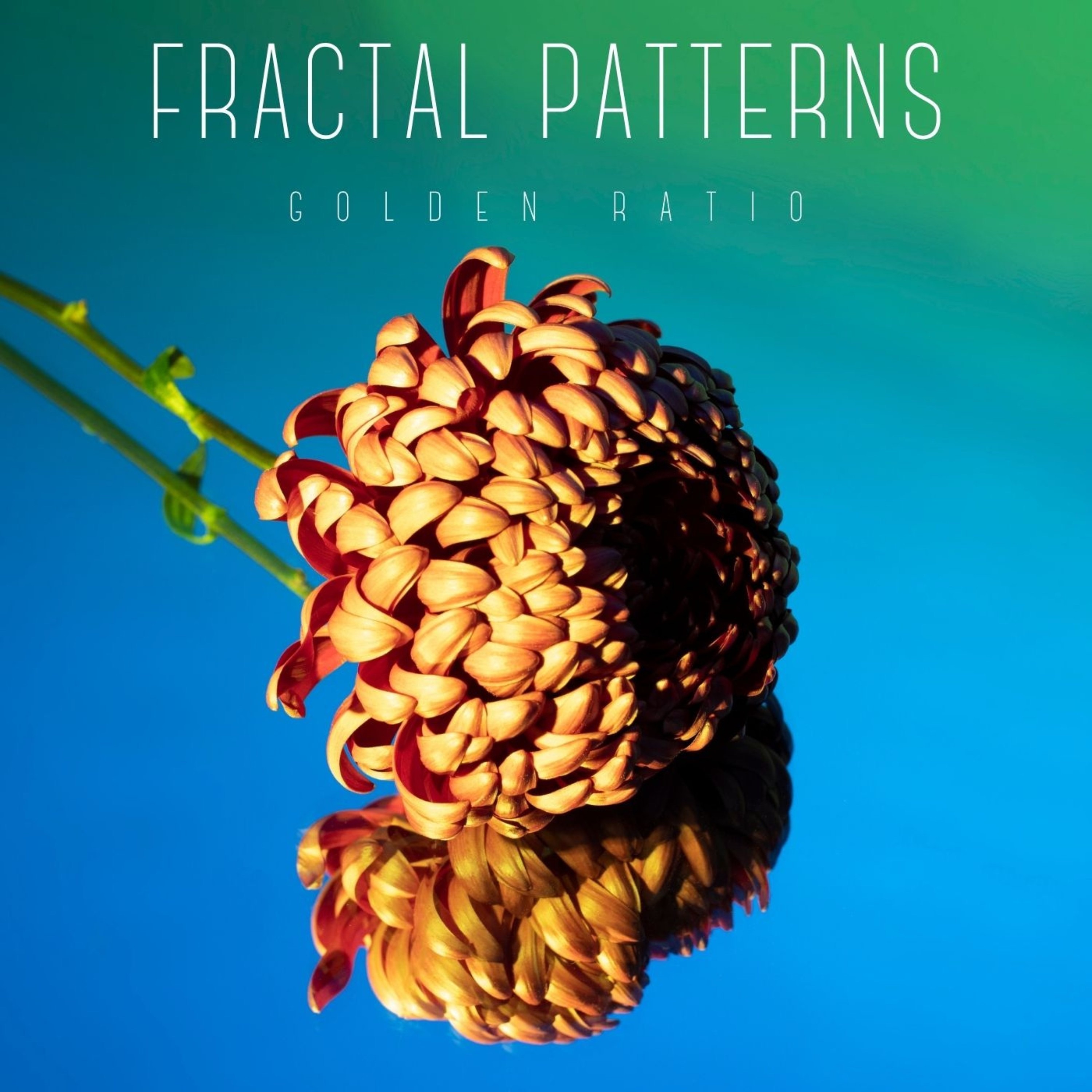 Fractal Patterns