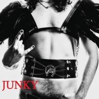 Junky - Single - Rick Noah & Bedini