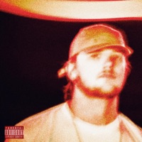 Putain d'cirque - Single - HEDVIGG