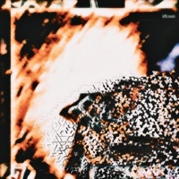 SAMMY VEINS VS. THE WHOLE DAMN WORLD EP - Sammy Veins