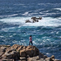 Babe - Single - SynerBeatz