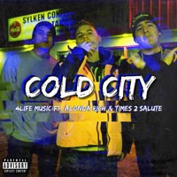 Cold City (feat. Times 2 Salute) - Single - 4life Music