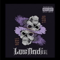MELODIAS PARA NADIE - Los Nadie