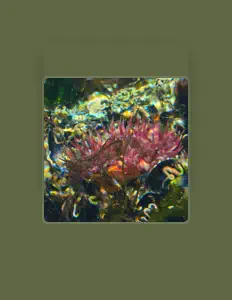 聆聽 VÅRIN、觀看音樂影片、閱讀小傳、查看巡演日期等！