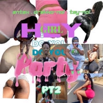 Hey girl do you party pt2 (feat. Ant2x) - Single