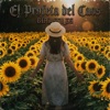 El profeta del caos - Girasoles