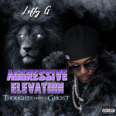 Aggressive Elevation {Thoughts From A Ghost}