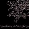 En Dans I Träsken