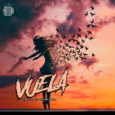 Vuela - Single
