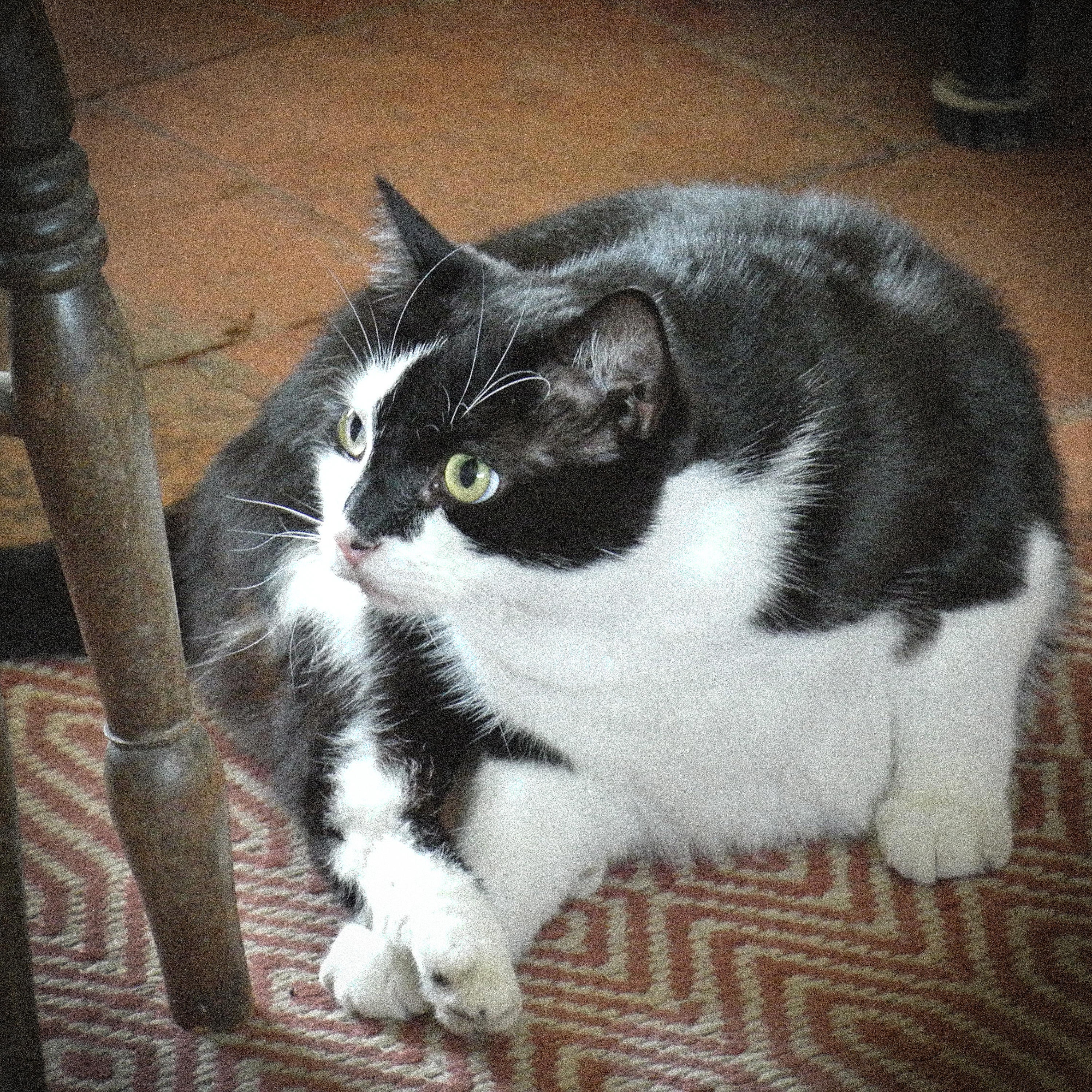 Even Psychos Need Love - Single