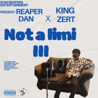 Not a limit (feat. King zert) - Single - Reaper Dan