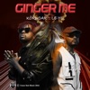 Ginger Me - Single