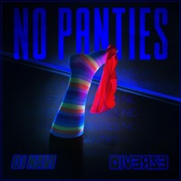 No Panties (feat. DJ Navi) - Single - Diverze