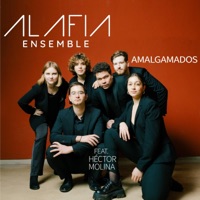 Amalgamados (feat. Hector Molina) - Single - Alafia Ensemble