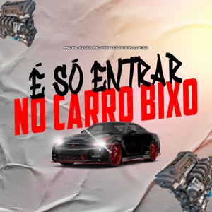 É Só Entrar no Carro Bixo (Slowed Reverb)