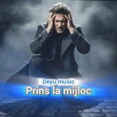 Prins la mijloc