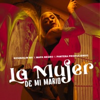 La Mujer de Mi Mario - Single - rosmailin wa, Mapa Negro & Pantera Produciendo