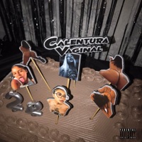 Calentura Vaginal (Tribal Mix) - Single - Dj Mon8