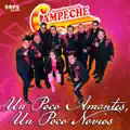 Un Poco Amantes, Un Poco Novios