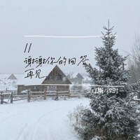 谢谢你的回答 再见 - Single - 吴瑞斯 & 徐时一