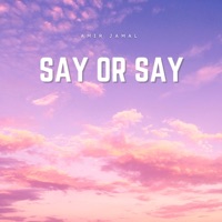 Say Or Say - Single - Amir Jamal