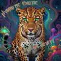 Hypnotic Exotic