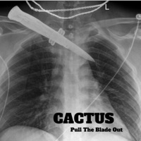 PULL THE BLADE OUT (feat. Gravyboat & Diamondback Kid) - Single - Cactus