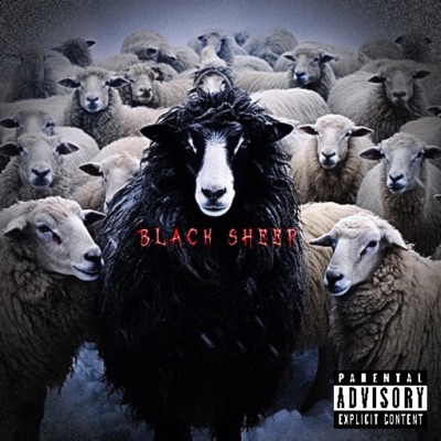 Black Sheep