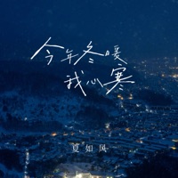 今年冬暖我心寒 - Single - 夏如风