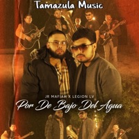 Por De Bajo Del Agua (feat. Jr Mafiah) - Single - LEGION LV
