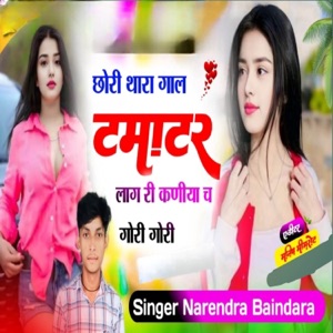 छोरी थारा गाल टमाटर लागे री कणया च गोरी गोरी (feat. Vs Banota & KR Devta)