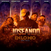 Joseando en Lo Mio (feat. Chandy the magic, Jasta & Stiven Killer) - Single - Rob Lion, Owl Real & Steve Brayham