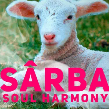 Sarba