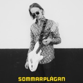 Sommarplågan artwork