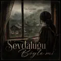 sevdaluğu böyle mi