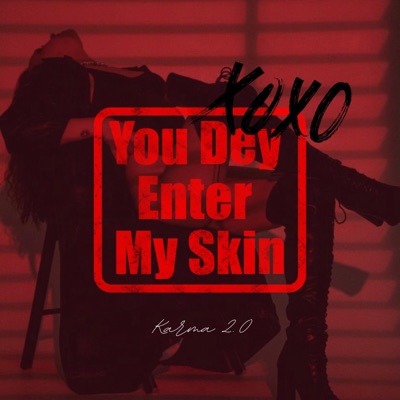 You Dey Enter my Skin (Radio Edit) - Single