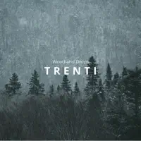 Woodland Drops — Trenti
