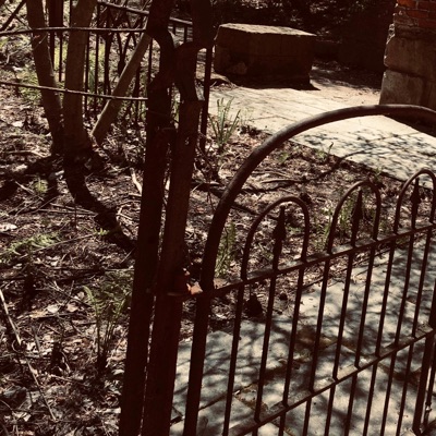 On the Wind - Single