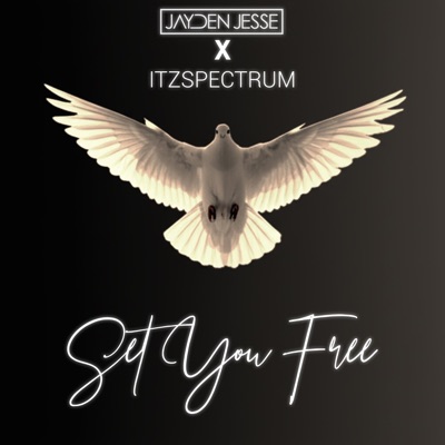 Set You Free - Single
