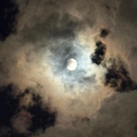 in the moonlight - Single - HELLOCYKA
