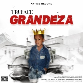 Better Days Trueace