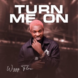 Turn me on (feat. Buckwylla) Wizzy Flow